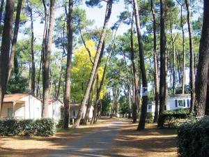 Camping Les Biches 5 &eacute;toiles