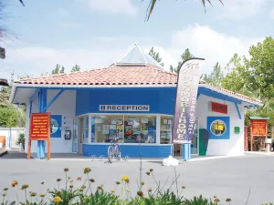 Camping La Marina 4 &eacute;toiles
