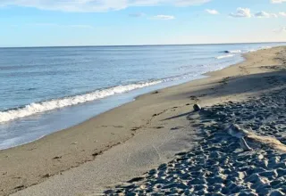Plage d'Aléria, Haute-Corse