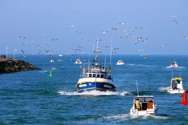 Port de Saint-Gilles-Croix-de-Vie, Vendée