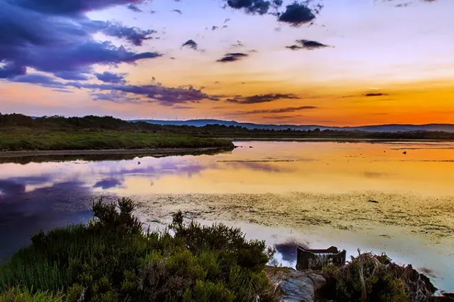 Étang de Sigean dans l'Aude, Occitanie