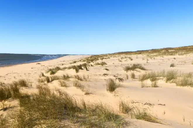 Côte sauvage de la Tramblade, Charente-Maritime