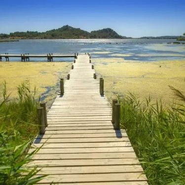 Camping Ensoya : pont en bois menant à un lac avec algues flottantes