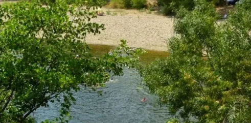 Un kayakiste navigue sur une rivière entourée de végétation dense.
