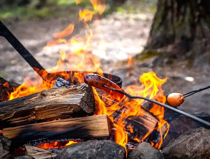 Feu de camp : Comment bien le démarrer ?