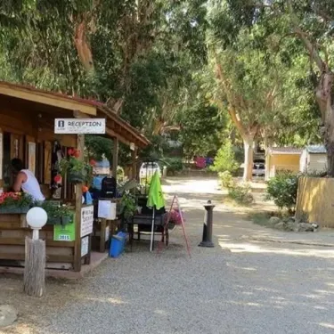 Reception de Camping U Pezzo avec comptoir en bois et arbres environnants.
