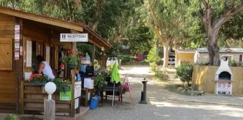 Reception de Camping U Pezzo avec comptoir en bois et arbres environnants.