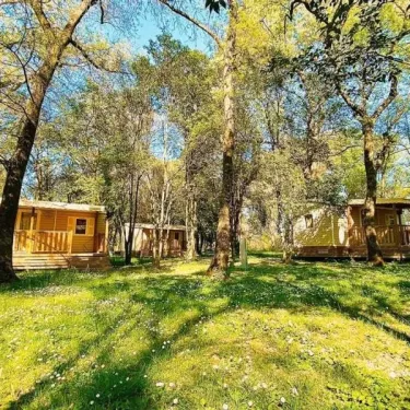 Cabines en bois entourées d'arbres dans un parc verdoyant au Camping Le Lion.