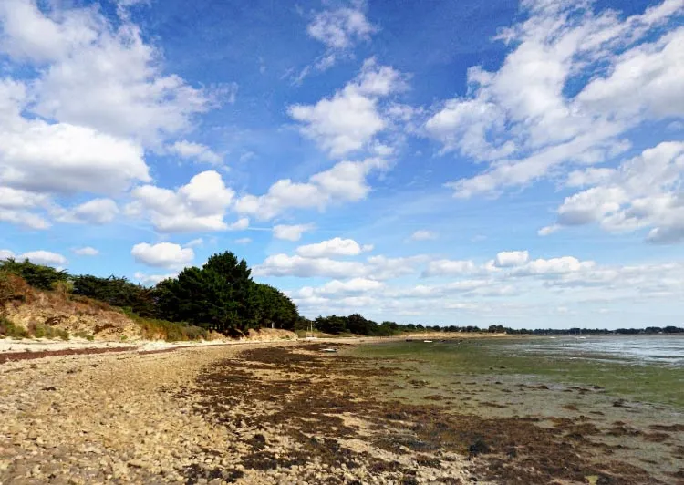 5 bonnes raisons de faire du camping sur l'île Tascon