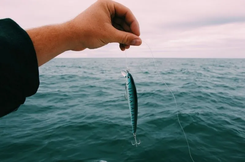 Pêche