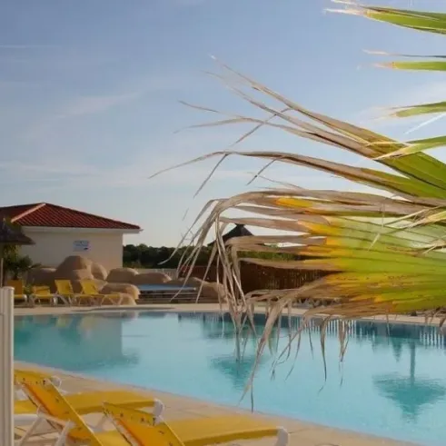 Piscine avec chaises longues jaunes et palmier au Camping La Riviera