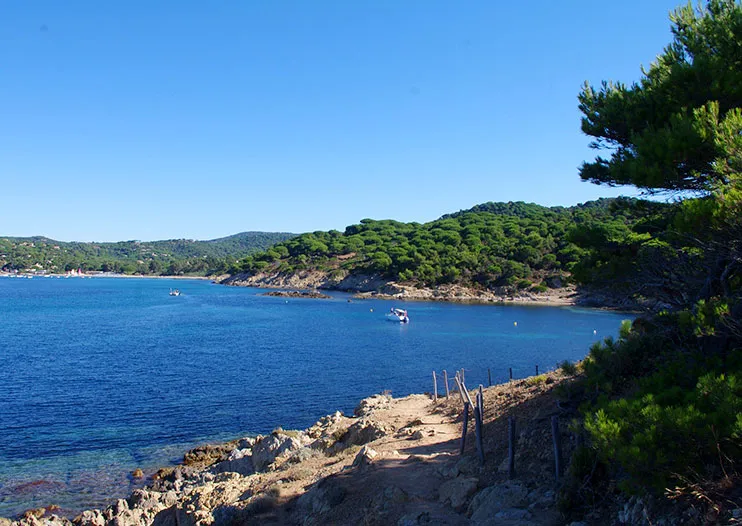 Camping à la Croix-Valmer : visitez le sentier du littoral