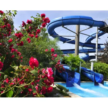Toboggan aquatique entouré de roses rouges, Camping Domaine des Naiades