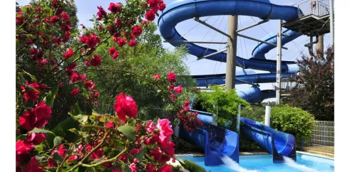 Toboggan aquatique entouré de roses rouges, Camping Domaine des Naiades
