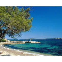 Plage bordée d'arbres avec vue sur la mer bleue au Camping Domaine des Naiades.