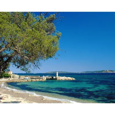 Plage bordée d'arbres avec vue sur la mer bleue au Camping Domaine des Naiades.