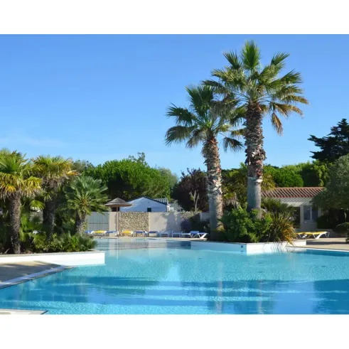 Piscine extérieure avec palmiers et chaises longues autour, Camping L'Océan - 17.