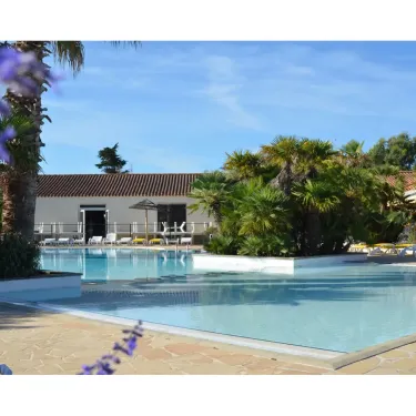 Piscine avec chaises longues et palmiers au Camping L'Océan - 17