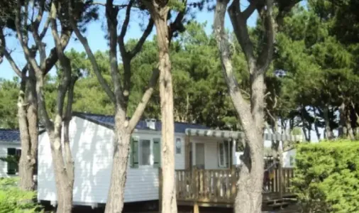 Mobil Home Emotion 3 Chambres TV - 6 Pers