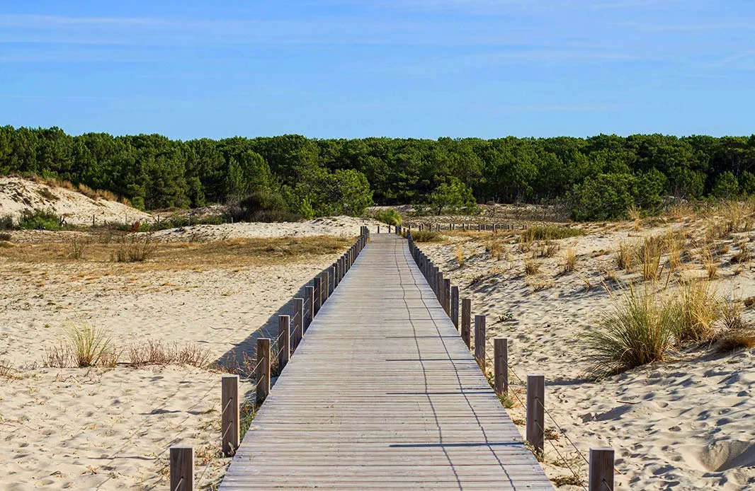 Biscarrosse : Entre plages et forêts