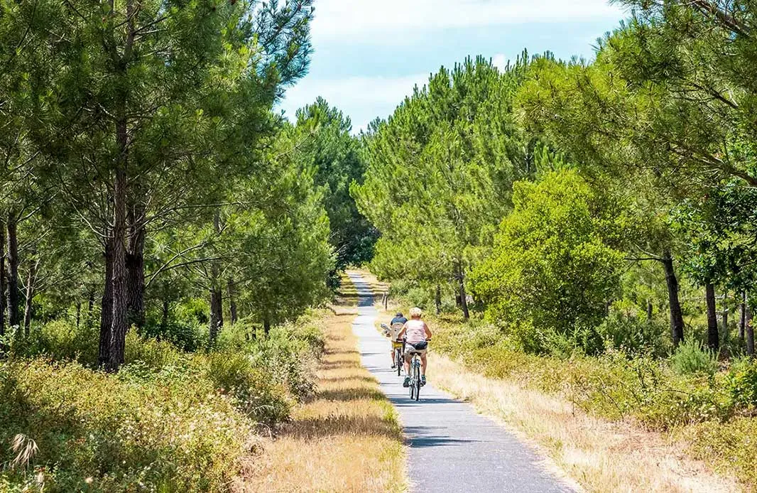 Mimizan : Entre nature et plaisirs balnéaires