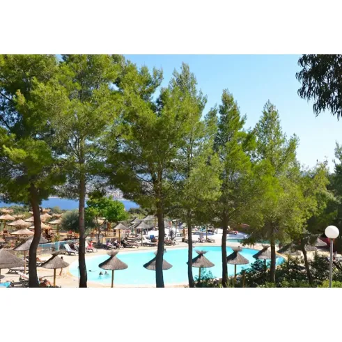 Piscine entourée de parasols et de pins au Camping Vigna Maggiore