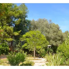 Camping Vigna Maggiore : jardin verdoyant avec arbres, buissons et allées pavées