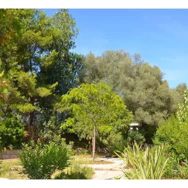 Camping Vigna Maggiore : jardin verdoyant avec arbres, buissons et allées pavées