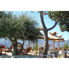 Camping Vigna Maggiore : espace détente sous un arbre d'olivier et un parasol en paille