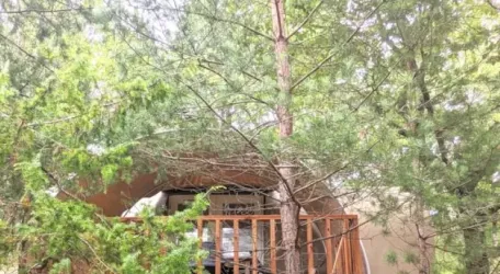 Coco Sweet 2 Chambres - 2/4 Personnes (Dim)