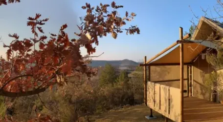 Lodge Jungle 2 Chambres – 4 Personnes (Dim)