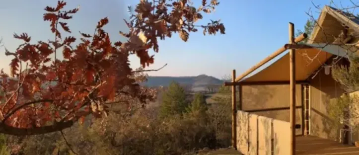 Lodge Jungle 2 Chambres – 4 Personnes (Dim)