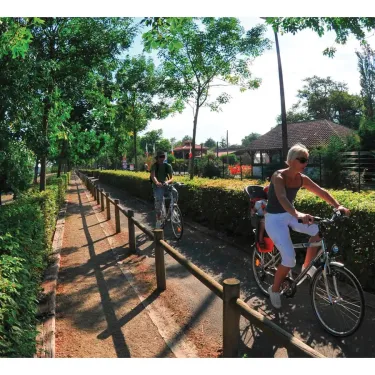 Deux cyclistes sur un chemin bordé d'arbres près d'un lac au Camping Eurolac.