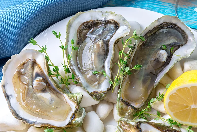 Spécialités culinaires de Nouvelle-Aquitaine à découvrir lors de vos vacances en camping