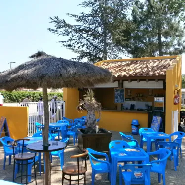 Photo camping Bosc d'En Roug : bar avec parasol et chaises bleues.