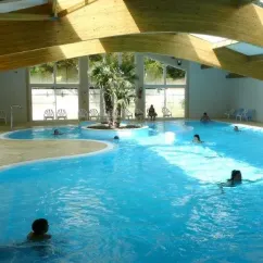 Piscine intérieure avec palmier au Camping Les Sables de Cordouan