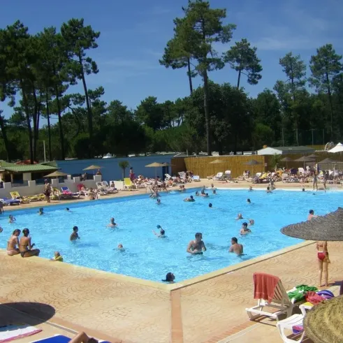 Piscine en plein air du Camping Les Sables de Cordouan entourée d'arbres et de chaises longues.