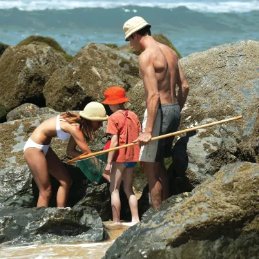 Famille sur les rochers près de la mer, pêchant ou cherchant des coquillages au Camping Les Sables de Cordouan.