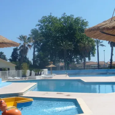 Piscine entourée de palmiers et parasols au Camping Bosc d'En Roug