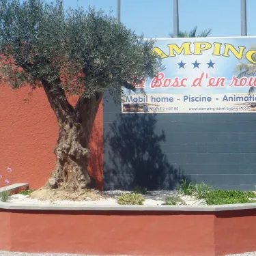Panneau d'entrée du Camping Bosc d'En Roug avec arbre d'olivier