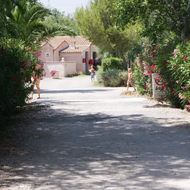 Photo du chemin d'entrée de Camping Cap Agathois