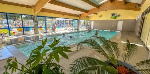 Piscine intérieure avec toit en bois et plantes décoratives au Camping L'Albizia.