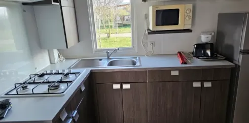 Cuisine équipée d'un four, un lave-vaisselle et un micro-ondes dans le Mobil Home Aqua