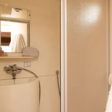 Salle de bain avec lavabo et douche dans la Lodge 2 Chambres - 5 Pers. - Le Lac des Sapins