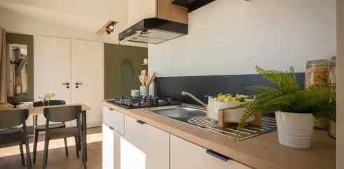 Cuisine du Mobil Home, plan de travail, four, évier, plante, table à manger