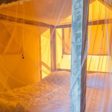 Tente Safari 2 Chambres - Camping l'Évasion : lit sous filet