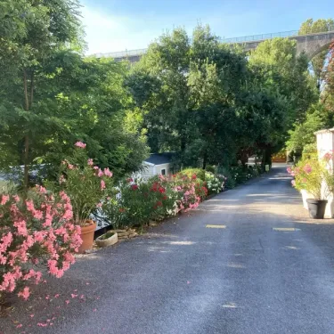 Allée fleurie avec limite de vitesse 10 km/h au Camping Les Rives d'Auzon