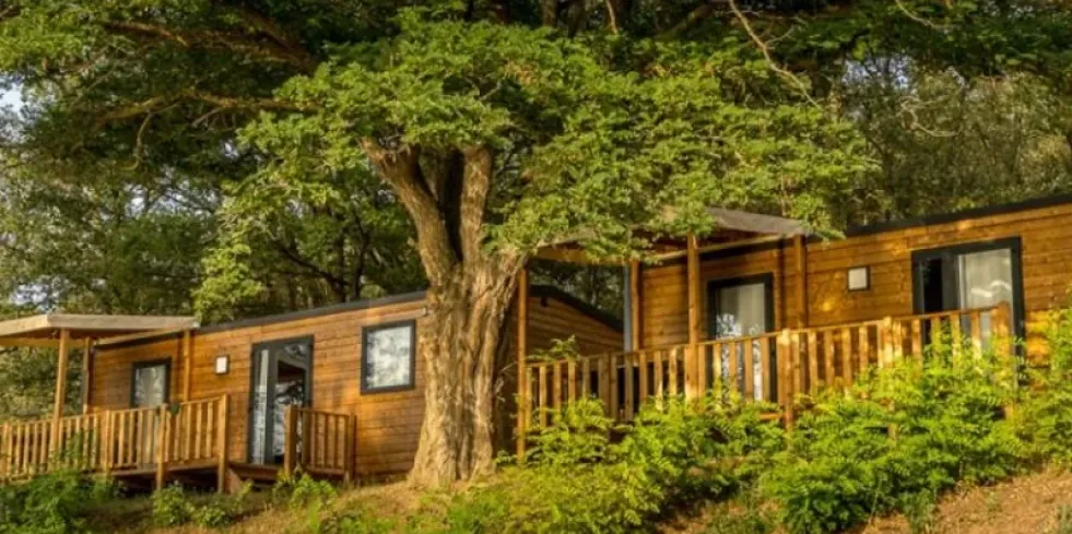 Cottage Iroise 2 Chambres 4 Personnes - Camping Les Rives du Lac de Vinça : cabane en bois au milieu de la forêt