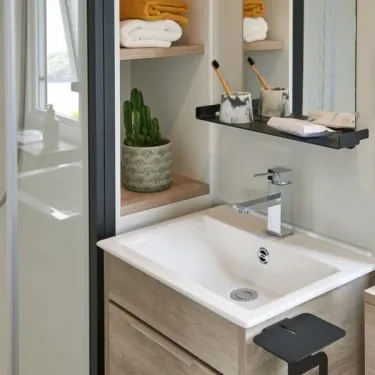 Salle de bain avec lavabo, étagères et cactus décoratif