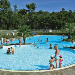 Camping Les Viviers : piscine ovale entourée de palmiers